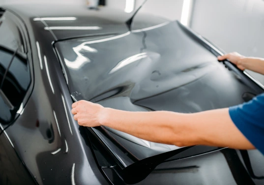 pelicula-profissional-1